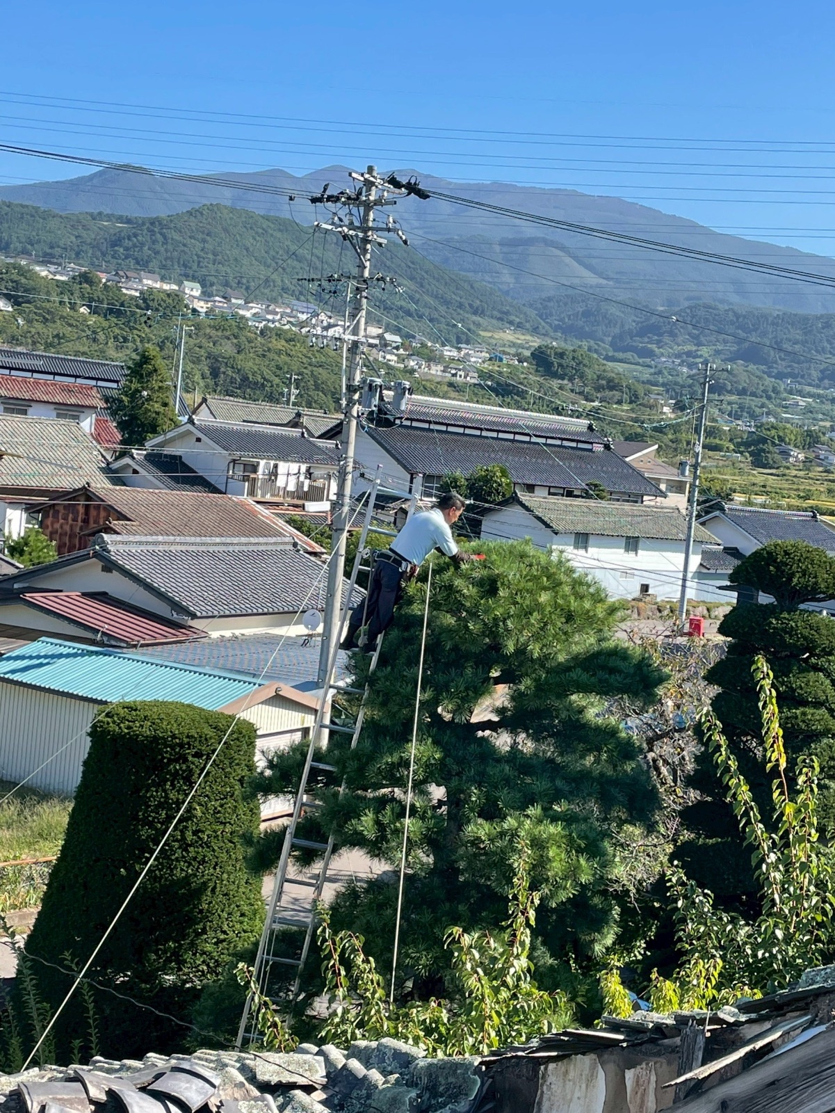 代表の写真